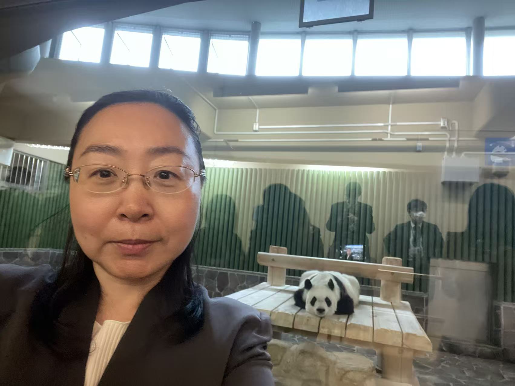 日中パンダ繁殖プロジェクトに通訳として参加