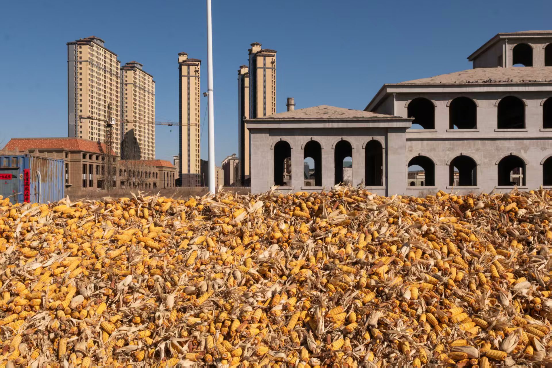 ジェクトに通訳として参加